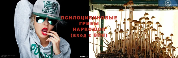 не бодяженный Алзамай