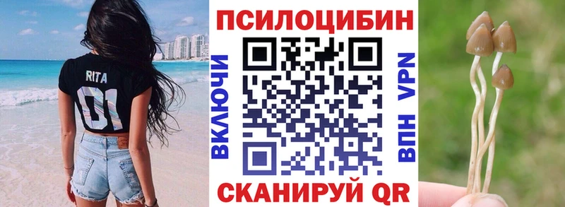 Галлюциногенные грибы прущие грибы  Купить закладки  Светогорск 